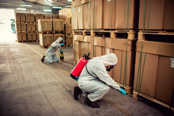 Best Affordable Pest Control Services  in , DC