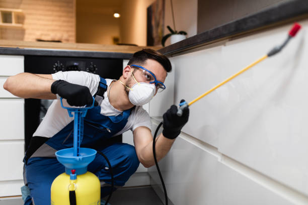 Best Rat Extermination Near Me  in , DC