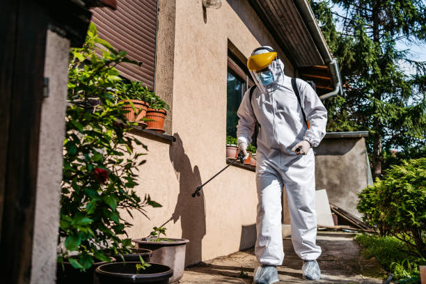 Best Pest Inspection Near Me  in , DC