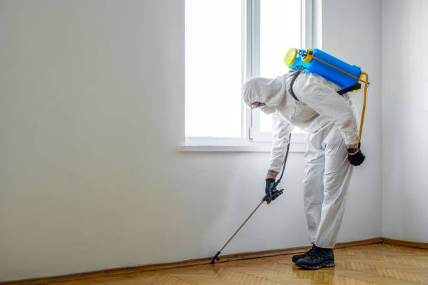 Best Wasp Removal Services  in , DC