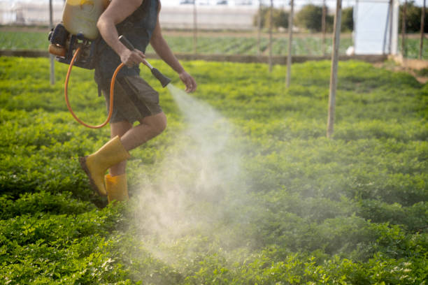 Best Pest Prevention Services  in , DC