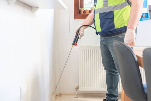 Best Flea Control Services  in , DC
