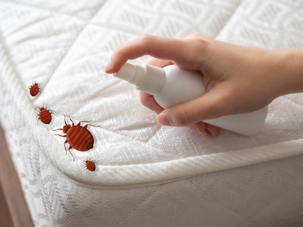  , DC Pest Control Pros