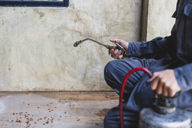 Best Pest Control Near Me  in , DC