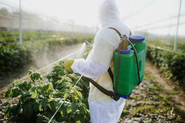 Best Commercial Pest Control Services  in , DC